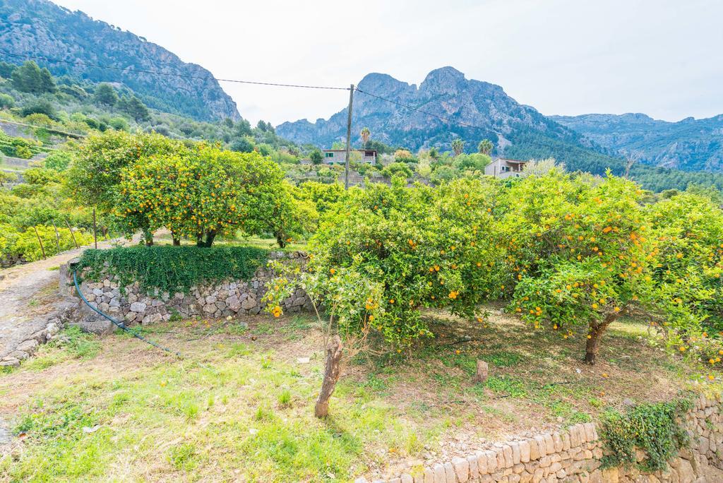 Cas Patro Lau Bis Villa Fornalutx